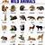 wild animals list with pictures