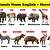 wild animals name in marathi