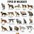 wild cat breeds a-z