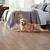 wood flooring options with dogs