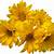 yellow flower png free