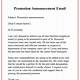 Announcement Email Template