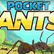 Ant Game Free