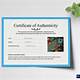 Art Certificate Of Authenticity Template