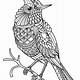 Birds Coloring Pages Free