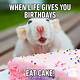 Birthday Pictures Funny Free