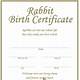 Bunny Birth Certificate Template