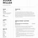 Business Owner Resume Template