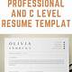 C-level Resume Template Word