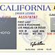 California Driver's License Template