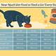 Cat Food Calculator Wet And Dry