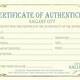 Certificate Of Authenticity Template Artwork