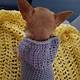 Chihuahua Sweater Crochet Pattern Free