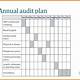 Clinical Trial Audit Plan Template