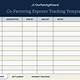 Co Parenting Shared Expenses Template