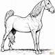 Coloring Pages Horses Free