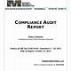Compliance Audit Template