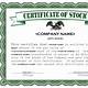 Corporation Share Certificate Template
