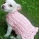 Crochet Dog Costume Free Pattern