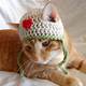 Crochet Hat For Cats Free Pattern