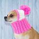 Crochet Hats For Dogs Free Patterns