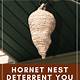 Crochet Hornets Nest Free Pattern
