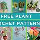 Crochet Plants Free Pattern