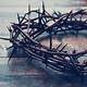 Crown Of Thorns Images Free