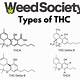 Different Forms Of Thc