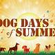 Dog Days Of Summer Images Free