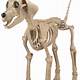 Dog Skeleton Home Depot
