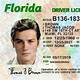 Drivers License Template Psd