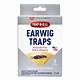 Earwig Traps Home Depot
