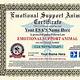Emotional Support Animal Certificate Template