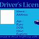 Fake Driver License Template