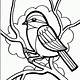 Free Bird Coloring Pages