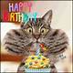 Free Cat Birthday Gifs