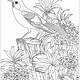 Free Coloring Pages Birds