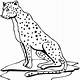 Free Coloring Pages Cheetah