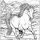 Free Coloring Pages Horse