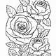 Free Coloring Pages Roses