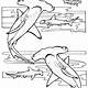 Free Coloring Pages Sharks