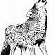 Free Coloring Pages Wolf