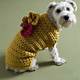 Free Crochet Pattern Dog Sweater