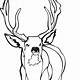 Free Deer Coloring Pages