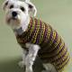 Free Dog Sweater Knitting Patterns