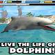 Free Dolphin Games
