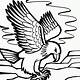 Free Eagle Coloring Pages
