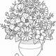 Free Flower Printable Coloring Pages