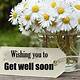 Free Get Well Images